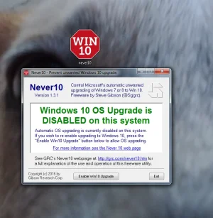 Never 10.webp