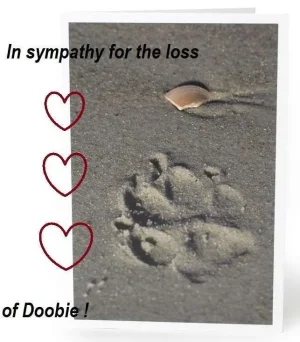 Doobie.webp