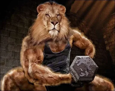 lionlift.webp