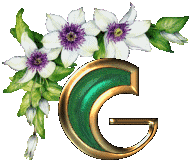 g.gif