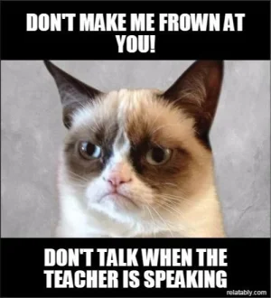 1 images-Dont-make-me-frown-at-you-25543-relatably-dot-com.webp