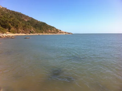 1749512.webp