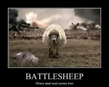 Battlesheep.webp