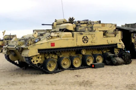 warrior ARV.webp