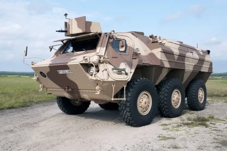 german fuchs.webp