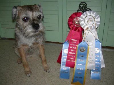 Sophie Awards.webp Sophie Awards.webp