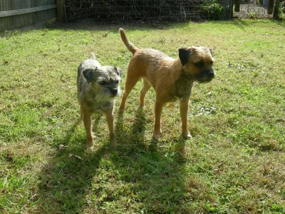 Sophie and Freddy.webp Sophie and Freddy.webp