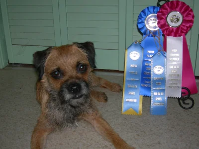 Freddy Awards.webp