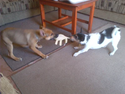 IMG-20121018-00172.webp