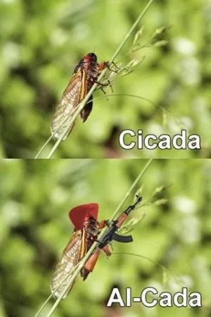 Al cada.webp