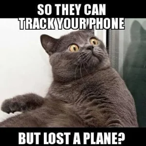 track.webp
