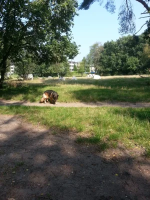 20140904_123120.webp