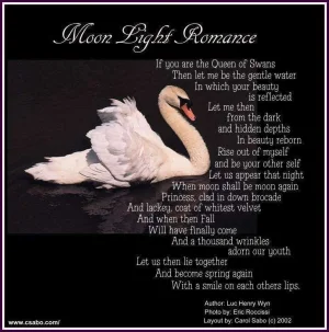 MoonLightRomanceSwan.webp