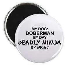 Ninja doberman.webp