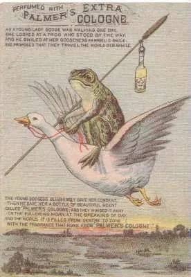 Frog on Swan.webp