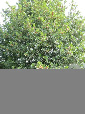 IMG_0027.webp
