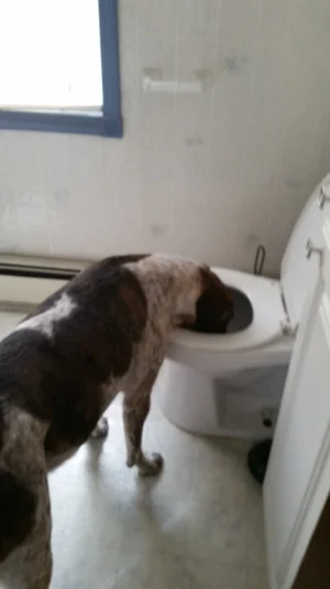 20150506_104348.webp
