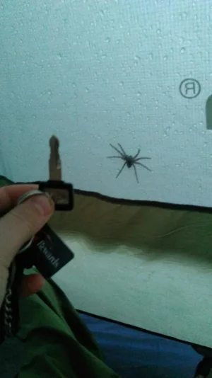 image000000 (1).webp