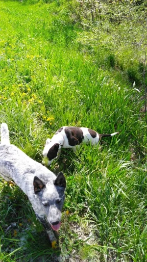 image000000 (1).webp