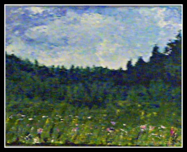 Bills and Sheilas Flower Field.webp