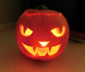 DSCN6894.webp