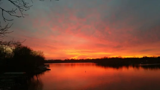 Feb Fire.webp