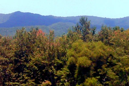 Late August In The Smokies.webp