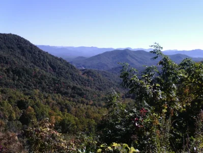 PTDC0004.webp PTDC0004.webp