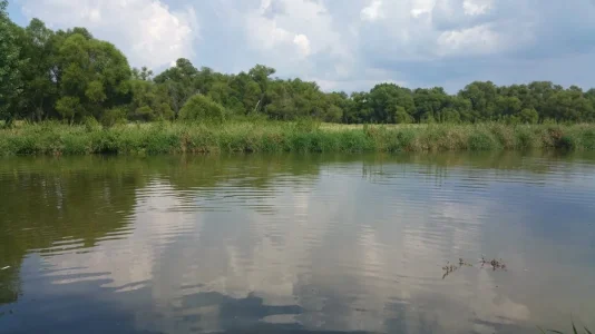 calm water.webp