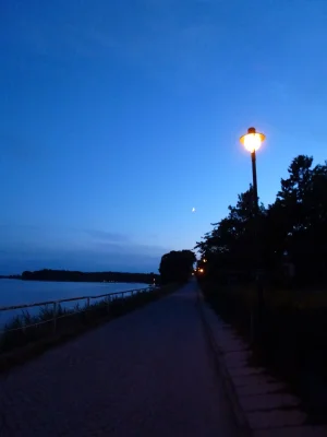 P1030079.webp