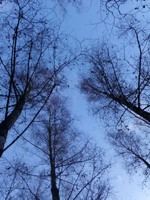 20190103_125358.webp
