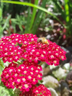 20190105_171647.webp