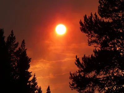 P1030556.webp