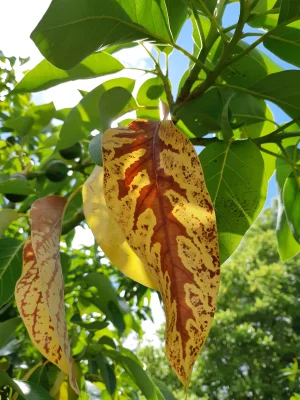 20190208_143804.webp