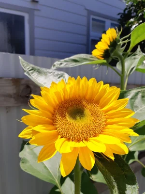 20190209_115709.webp