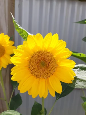 20190216_113949.webp
