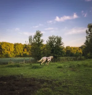 Luke Running.webp
