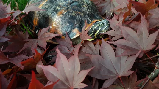 20190530_194715.webp