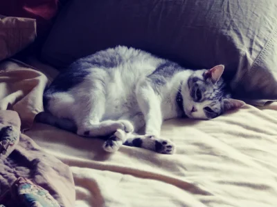 20190607_135120_Film1.webp