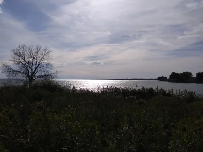 20191006_155133.webp