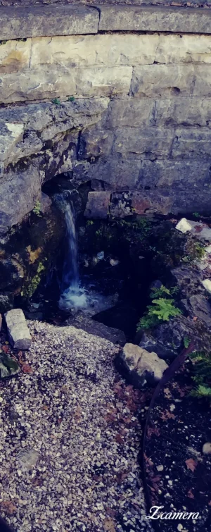 zcamera-20191012_180540.webp