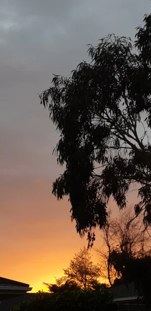 20191020_194509.webp