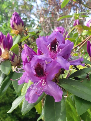 20191109_081042.webp