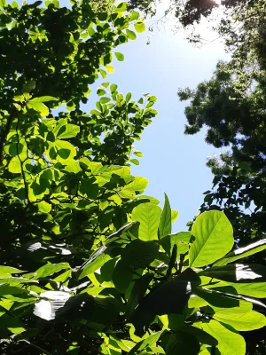 20191210_140338.webp