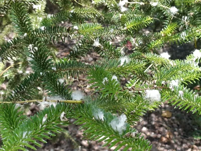 20191210_135142.webp