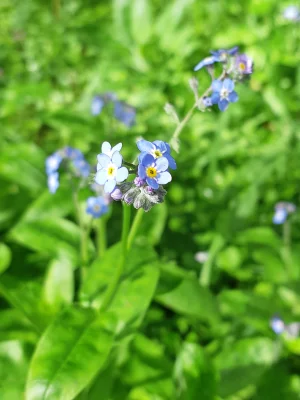 20200907_143540.webp