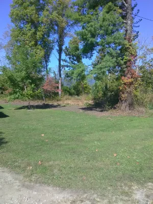 IMG_20201006_152000.webp
