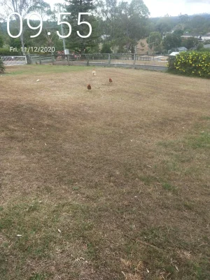 IMG20201211095544.webp