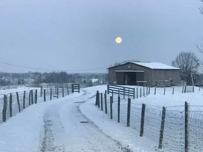 KY MOON.webp