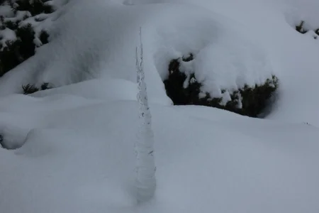 verticall ice.webp